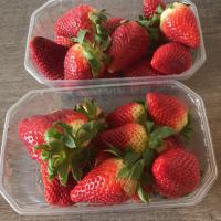 Verrine fromage frais et fraises